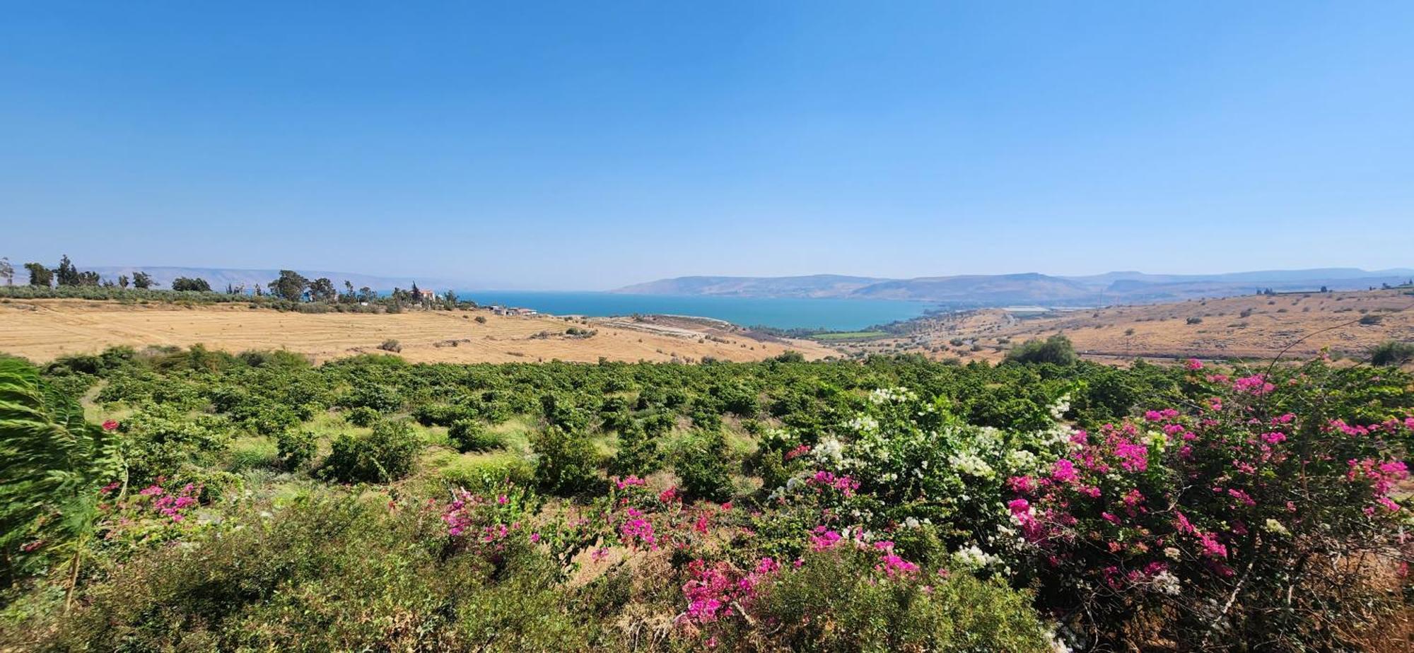 Casa Cohen C Kineret קאסה כהן סי כנרת Διαμέρισμα Migdal Εξωτερικό φωτογραφία